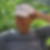 Profilbild von Kurt Bolliger