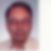 Profilbild von Siegfried Ammann