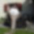 Profilbild von Walter Schnyder