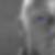 Profilbild von Matti Brunner
