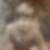 Profilbild von Doris Brunner