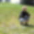 Profilbild von Nelli Stoll