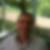 Profilbild von Martin Senn