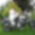 Profilbild von Evelyne Gerber