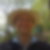 Profilbild von Ruedi Weber