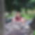 Profilbild von Natascha Preite