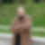 Profilbild von Martin Mächler