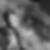 Profilbild von Rolf Rieter