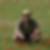 Profilbild von Peter Beusch