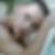Profilbild von Enrico Antonio Visser