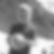 Profilbild von Felix Dreier