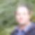 Profilbild von Martin Steiner