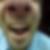 Profilbild von Marco Haus