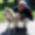 Profilbild von Alex Fehr