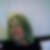 Profilbild von Susi Remund