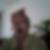 Profilbild von Saverio Raffaeli