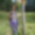 Profilbild von Trudi Brunner
