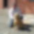 Profilbild von Beat Dolder