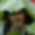 Profilbild von Andreas Rohner