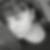 Profilbild von Doris Zürcher