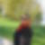 Profilbild von Margrit Jucker