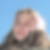 Profilbild von Regula Dumelin