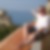 Profilbild von Mario Balcon