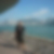 Profilbild von Dominik Willi