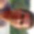 Profilbild von Jean-Marc Wicki
