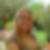 Profilbild von Claudia Emery