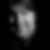 Profilbild von Vinzenz Wyss