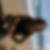 Profilbild von Christoph Rohrbach