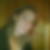 Profilbild von Katrin Cozzio