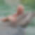 Profilbild von Daniel Kauz