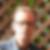 Profilbild von Gerold Sauter